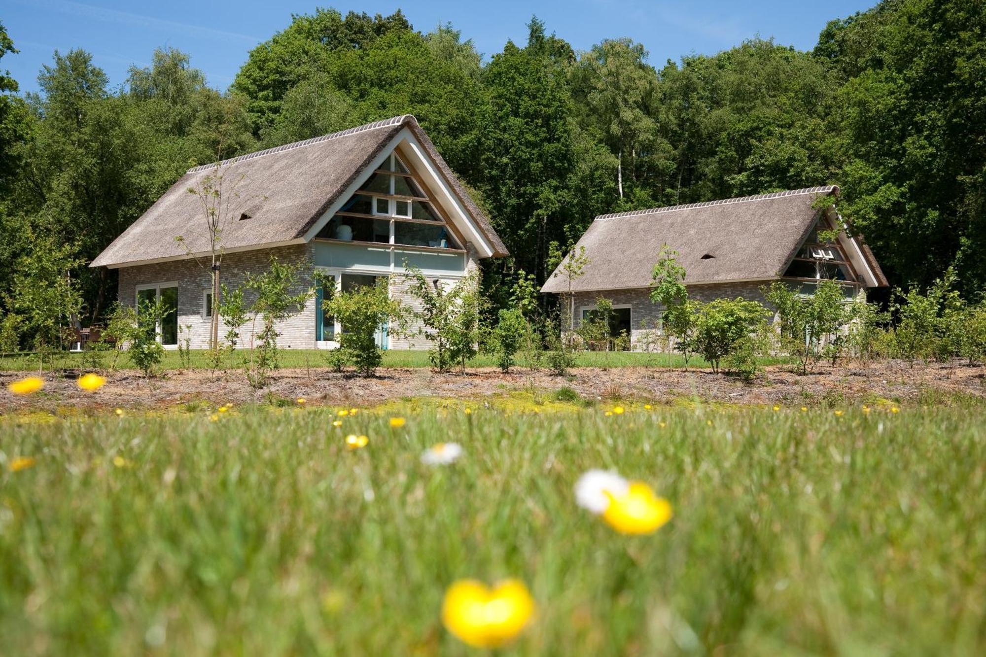 Summio Buitenplaats De Marke Holiday home Ruinen